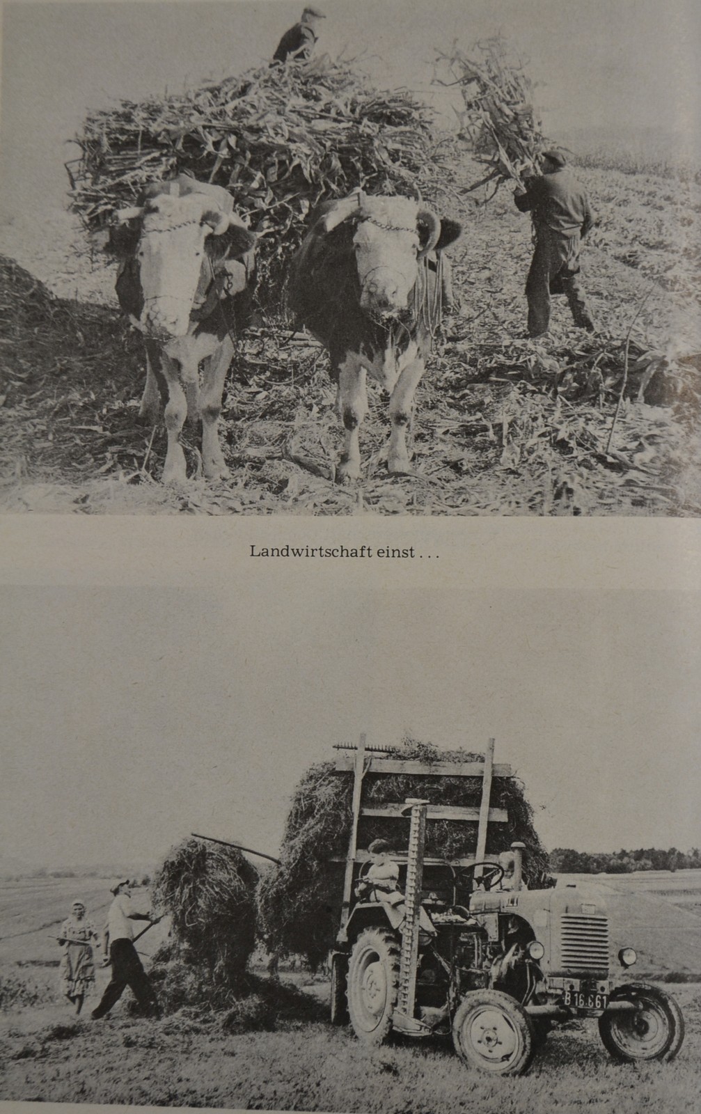 16. „Mezőgazdaság egykor…” Már ez a traktor is a múlté, 1975