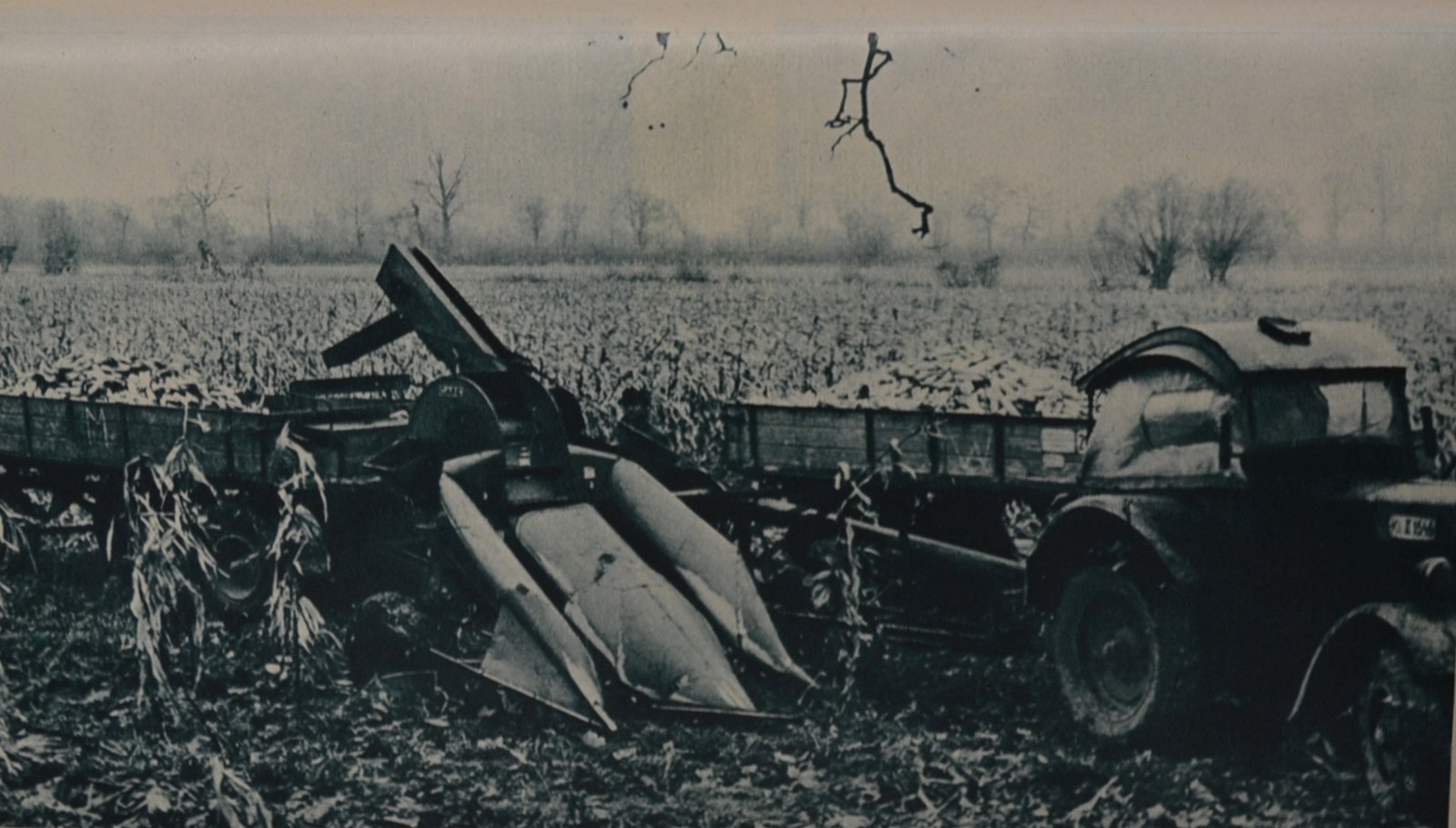 9. Kukorica-aratógép, 1956